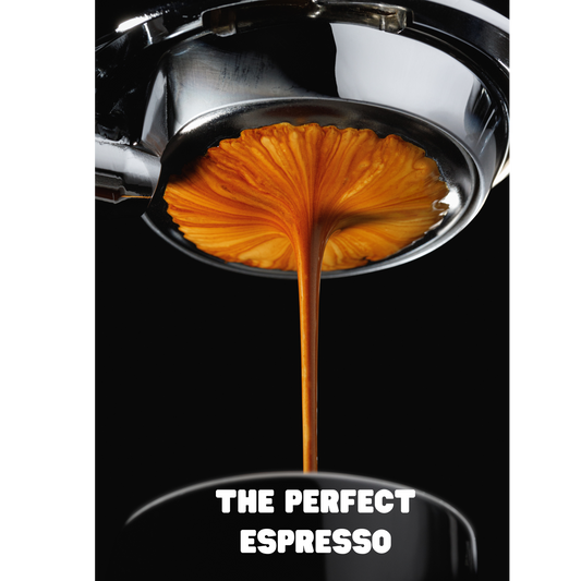 Mastering the Art of Espresso with the Sage Barista Pro: A Comprehensive Guide
