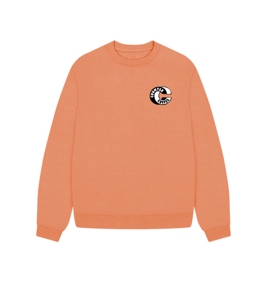 Apricot Women's Loose Fit Jumper